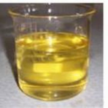 Gamma Linolenic Acid(Gla) 